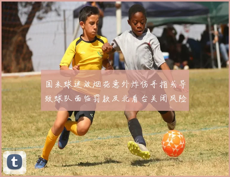 国米球迷放烟花意外炸伤手指或导致球队面临罚款及北看台关闭风险
