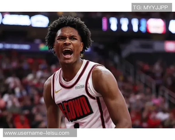 专家分析火箭队名额限制需等明年一月才能底薪签约新球员 专家分析火箭队名额限制需等明年一月才能底薪签约新球员