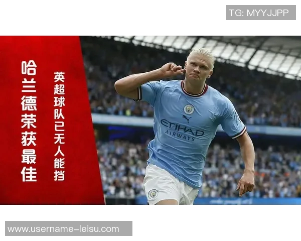 近五年英超最佳引援评选结果揭晓哈兰德力压群雄荣膺第一 近五年英超最佳引援评选结果揭晓哈兰德力压群雄荣膺第一