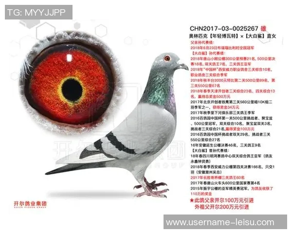 意超杯奖金揭晓冠军950万欧亚军670万四强240万